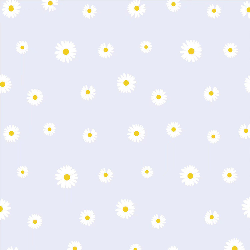 MYHC-18 Frisches kleines Gänseblümchen-Perlenfolien-Blumen-Geschenkpapier