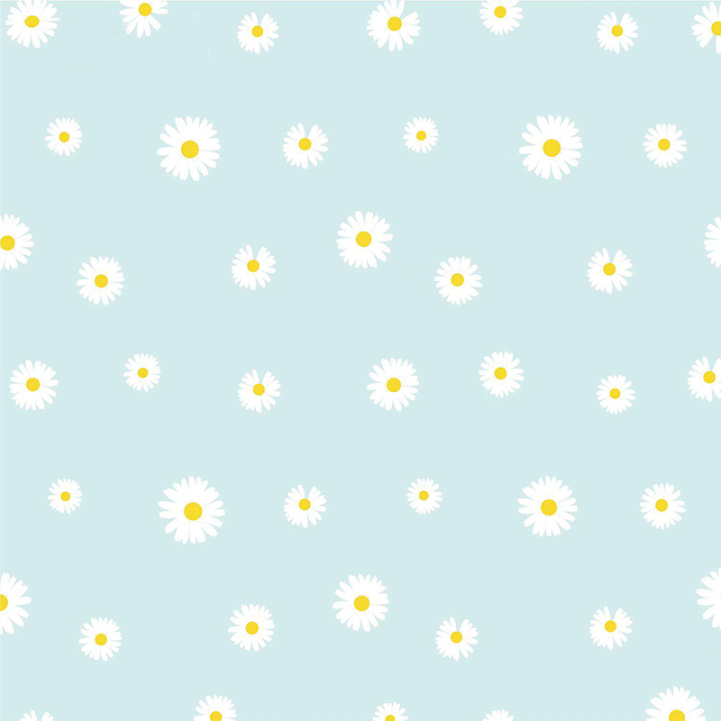 MYHC-18 Frisches kleines Gänseblümchen-Perlenfolien-Blumen-Geschenkpapier