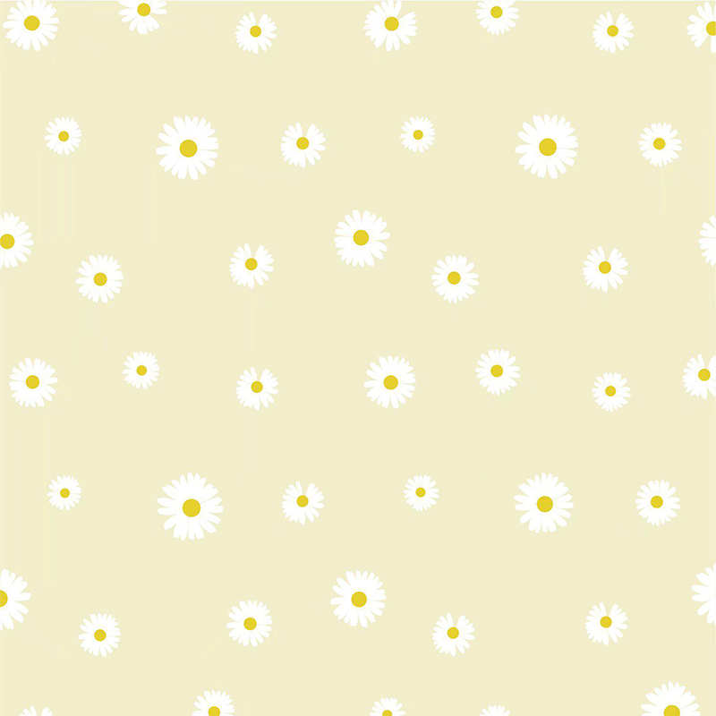 MYHC-18 Frisches kleines Gänseblümchen-Perlenfolien-Blumen-Geschenkpapier
